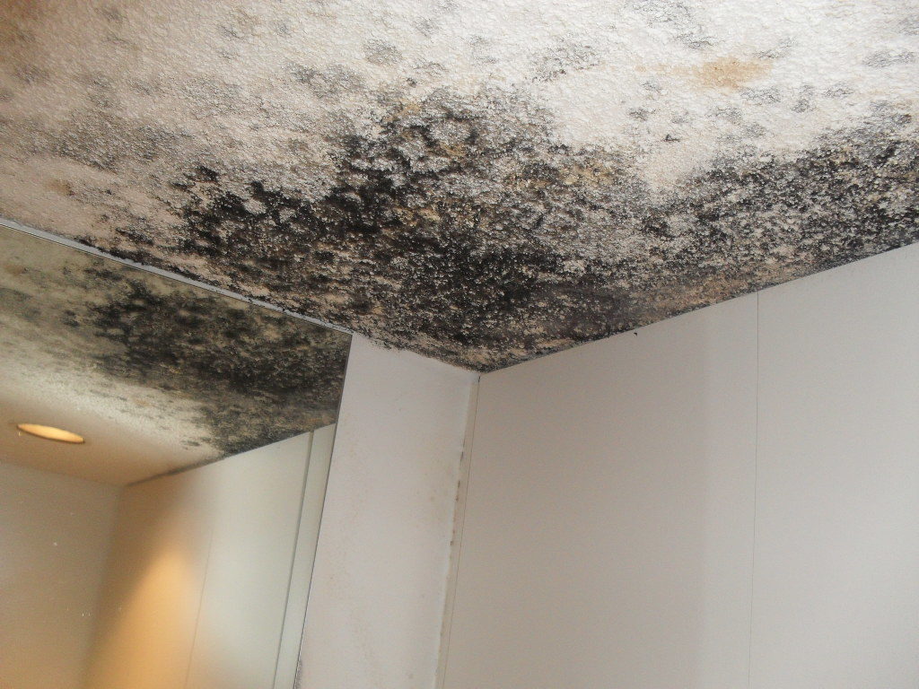 Mold On Ceiling Lawrence Construction